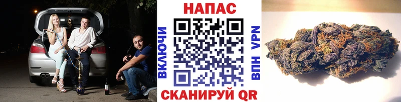 Где купить Тамбов Каннабис  Меф мяу мяу  APVP  Амфетамин  hydra tor  Гашиш 