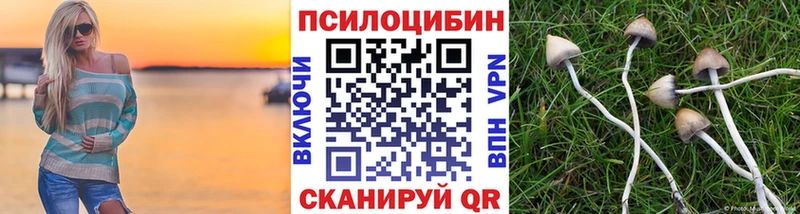 Галлюциногенные грибы GOLDEN TEACHER  Тамбов 